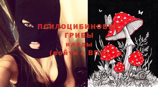 таблы Арсеньев